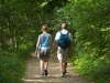 woodland_walk_18363