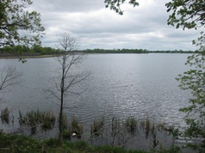 silent lake