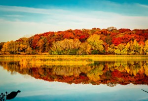 east silent lake in fall